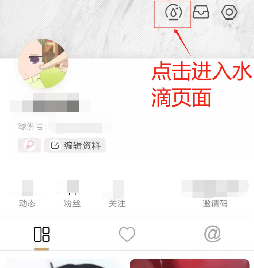 绿洲水滴在哪 绿洲水滴怎么玩