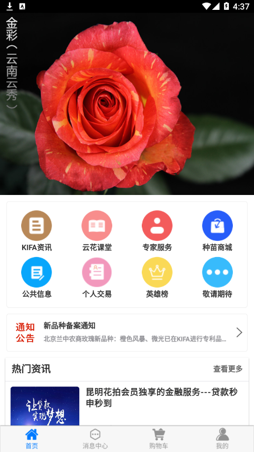 花拍服务供