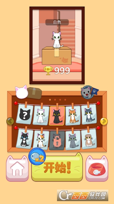 按按猫跳BoxCat