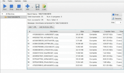 WFDownloader(多媒体批量下载器)