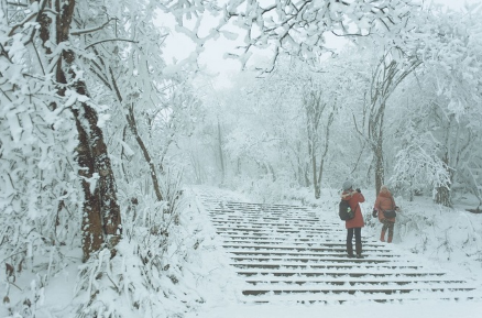 抖音控雪视频怎么做到的 抖音控特效雪教程