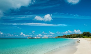 糖果浏览器使用方法大集合