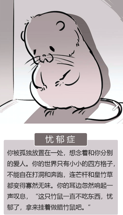 竹鼠活下去是什么游戏 当华农兄弟的竹鼠梗做成游戏