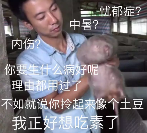 竹鼠活下去是什么游戏 当华农兄弟的竹鼠梗做成游戏