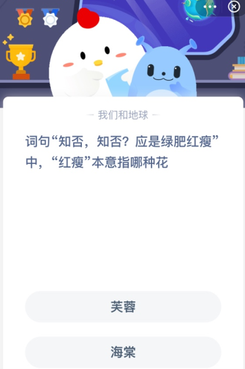 词句“知否，知否？应是绿肥红瘦”中 “红瘦”本意指哪种花？