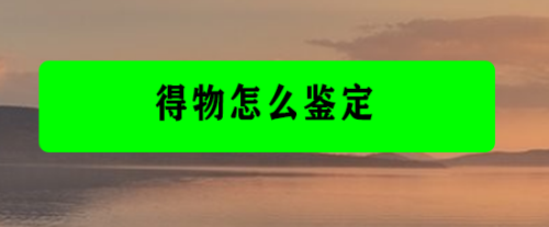 得物怎么鉴别真假 得物鉴别功能使用教程