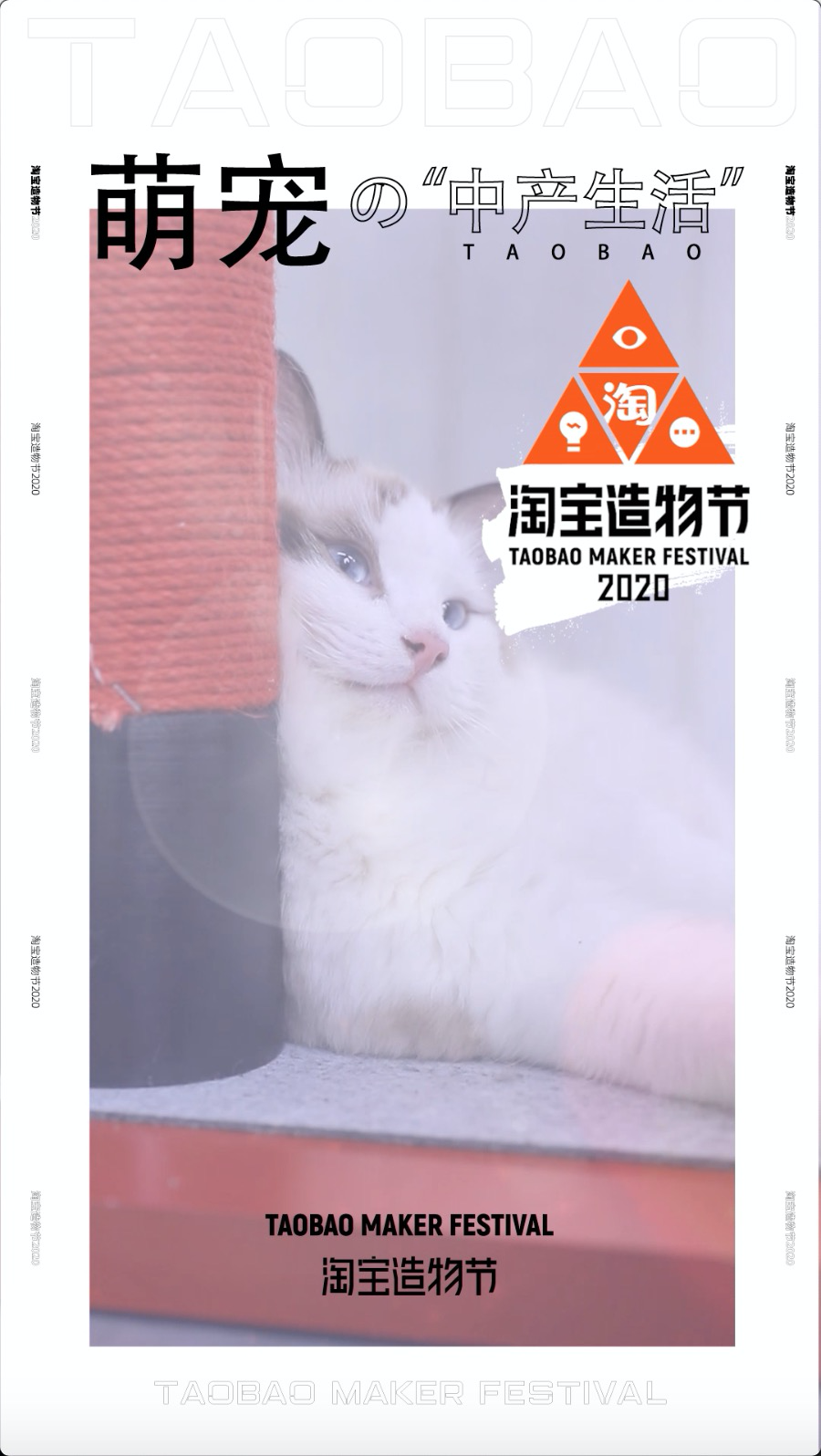 淘宝造物节短视频模板玩法-宠物类模板