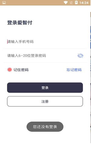 爱智付