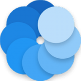 Bluecoins