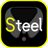 Steel