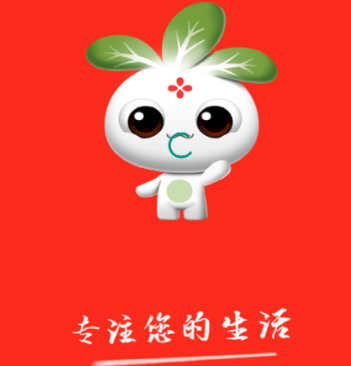 花小诺