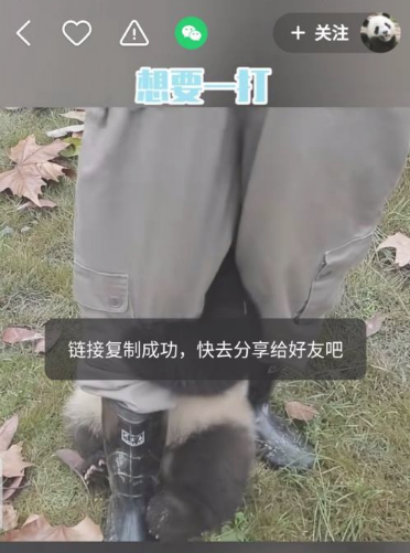 快手视频怎么去掉别人的快手号  快手视频去掉别人的快手号方法