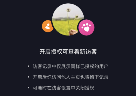 抖音访客记录能看到陌生人吗？抖音访客记录不打开对方是不是看不到？