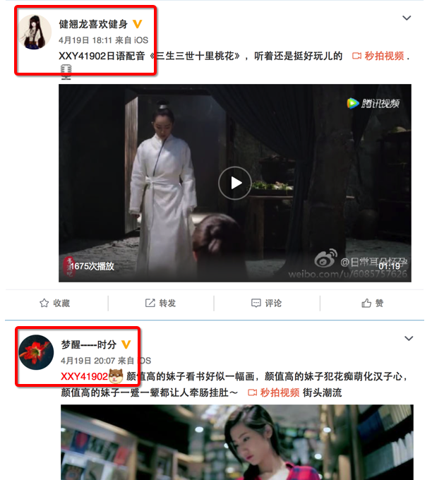 XXY41902是什么 听说微博发XXY41902这个编号能吸粉