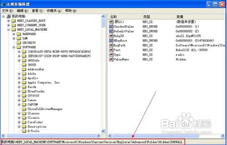 为什么电脑显示不了隐藏文件