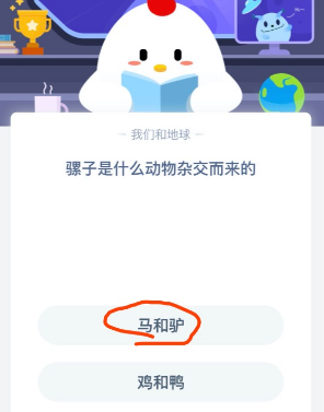 骡子是什么动物杂交而来的 蚂蚁庄园答题攻略