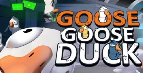 为什么手机鹅鸭杀注册不了？手机鹅鸭杀注册教程