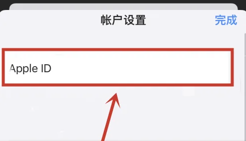 苹果id怎么查