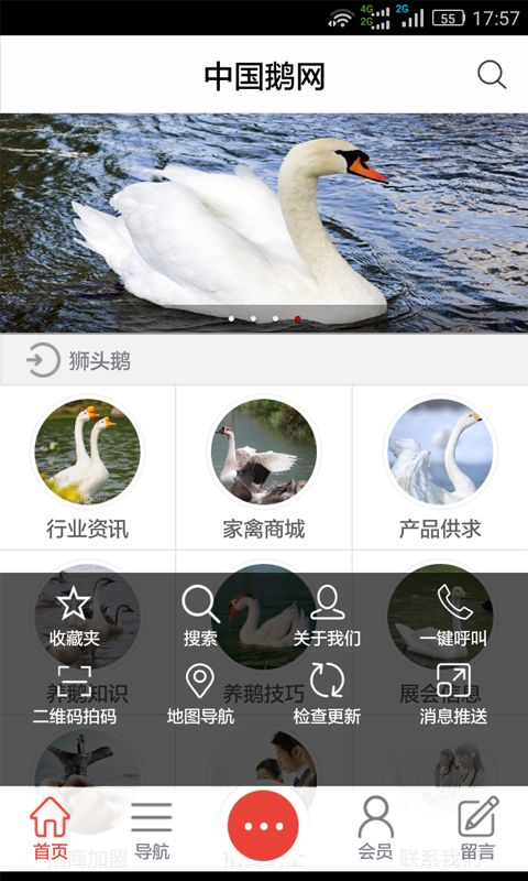 鹅网