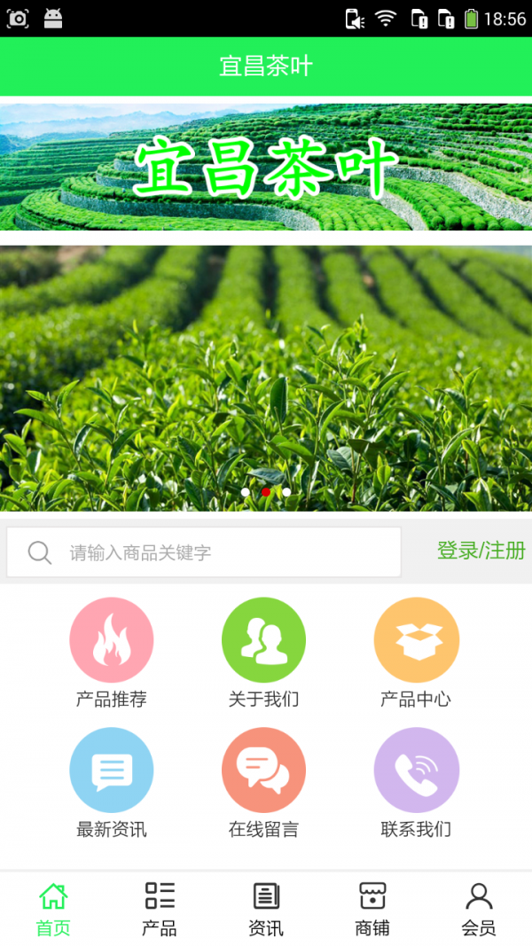 宜昌茶叶