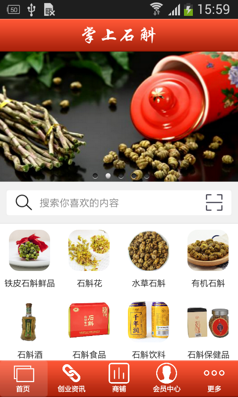 掌上石斛