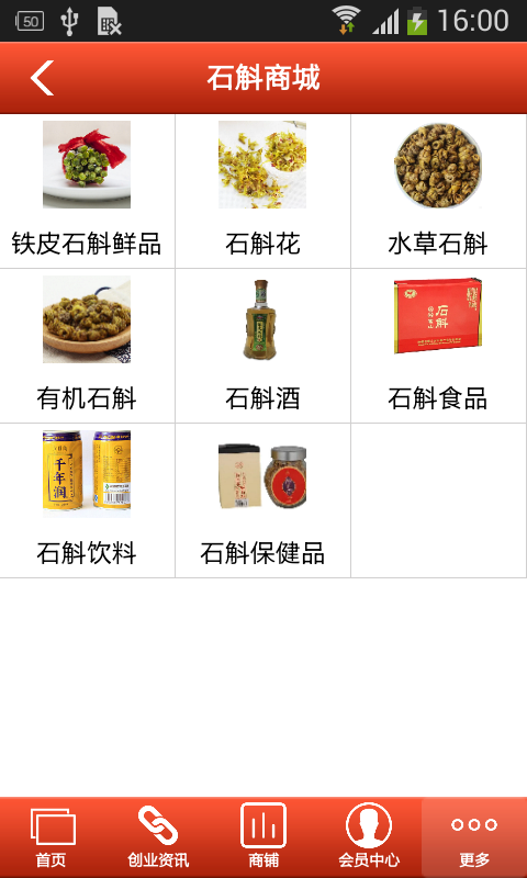 掌上石斛