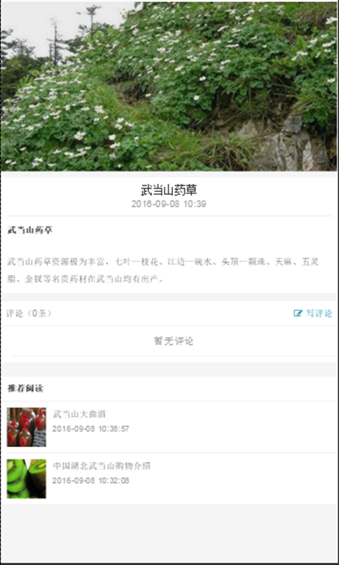 武当特产