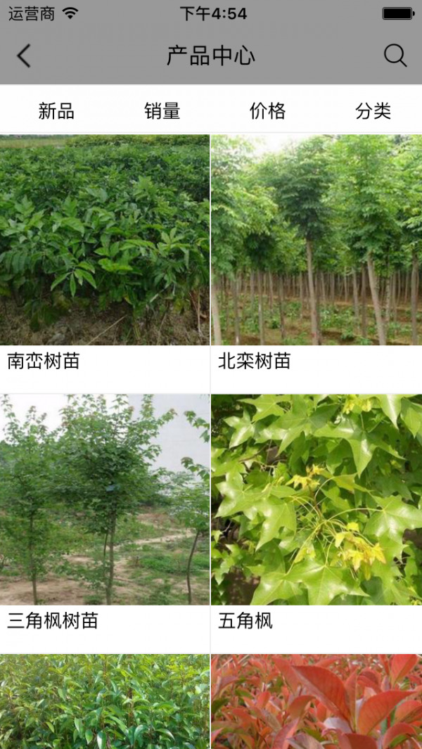 河南苗木网