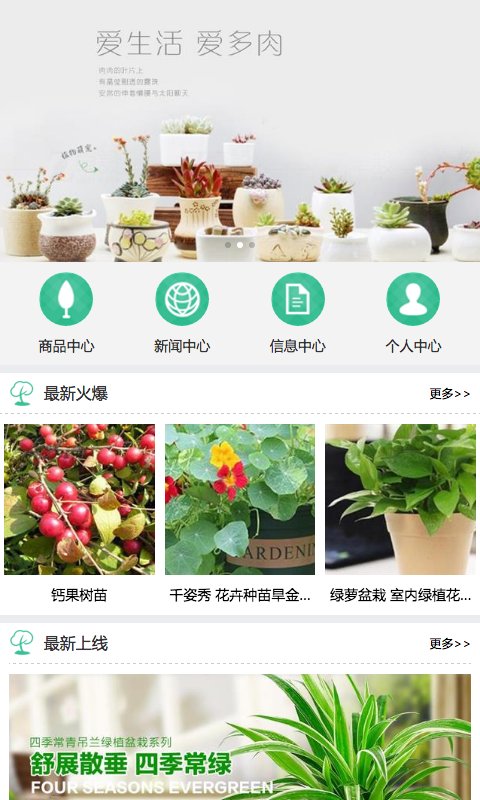 合肥苗木网