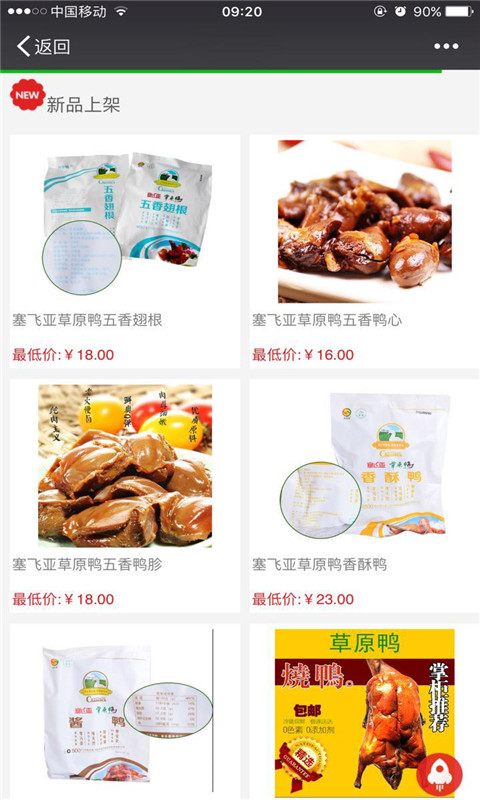 塞飞亚草原鸭