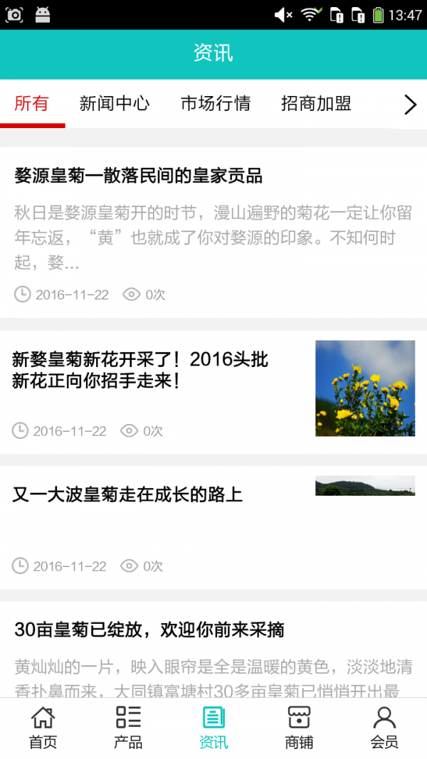 皇菊