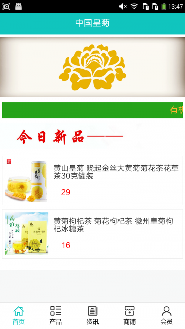 皇菊