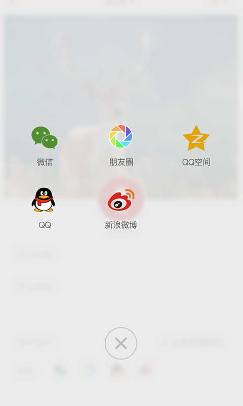 节日说