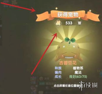 《摩尔庄园手游》精灵怎么加点 精灵加点攻略