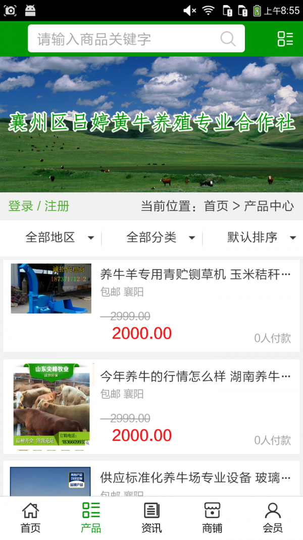 湖北养牛