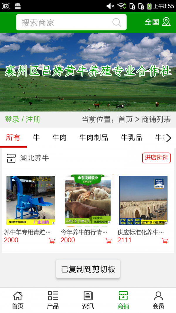 湖北养牛