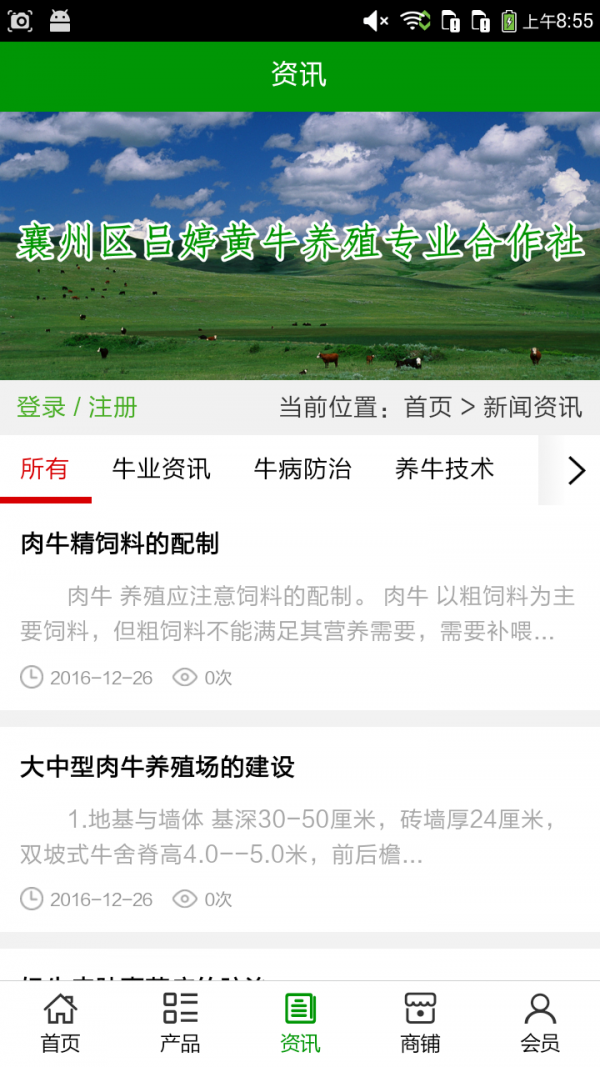 湖北养牛