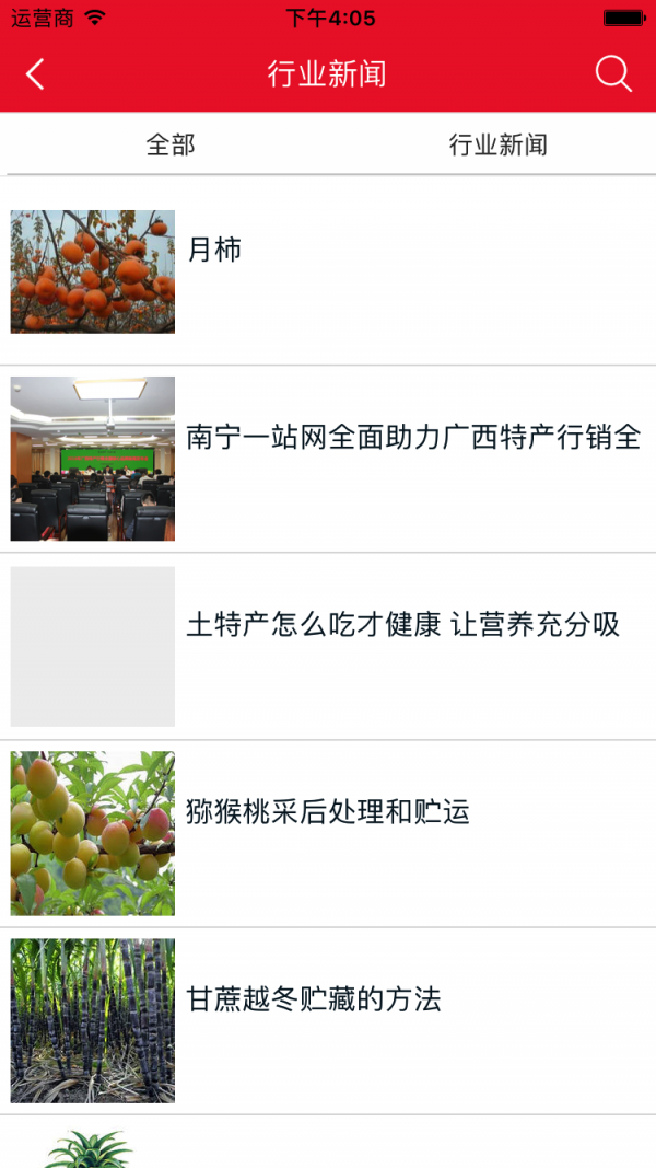 广西特色特产