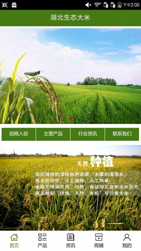 湖北生态大米