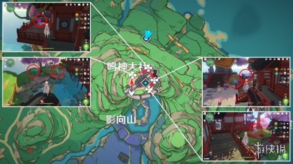 《原神》绯樱绣球分布图 3.8绯樱绣球收集路线