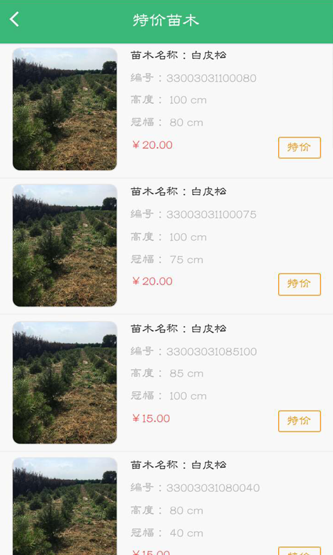 阿绿汇