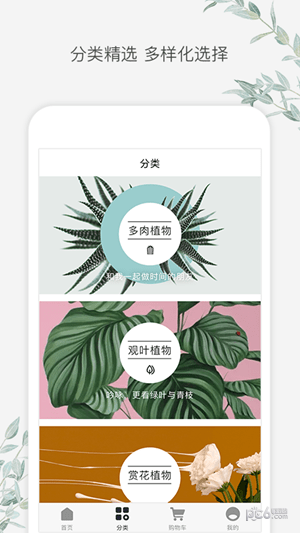 速想惠