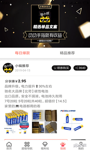 猫小贱