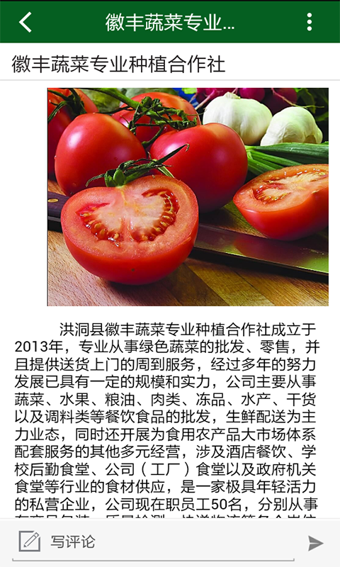徽丰蔬菜