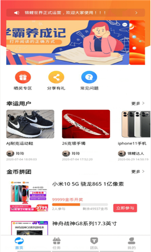 锦鲤世界