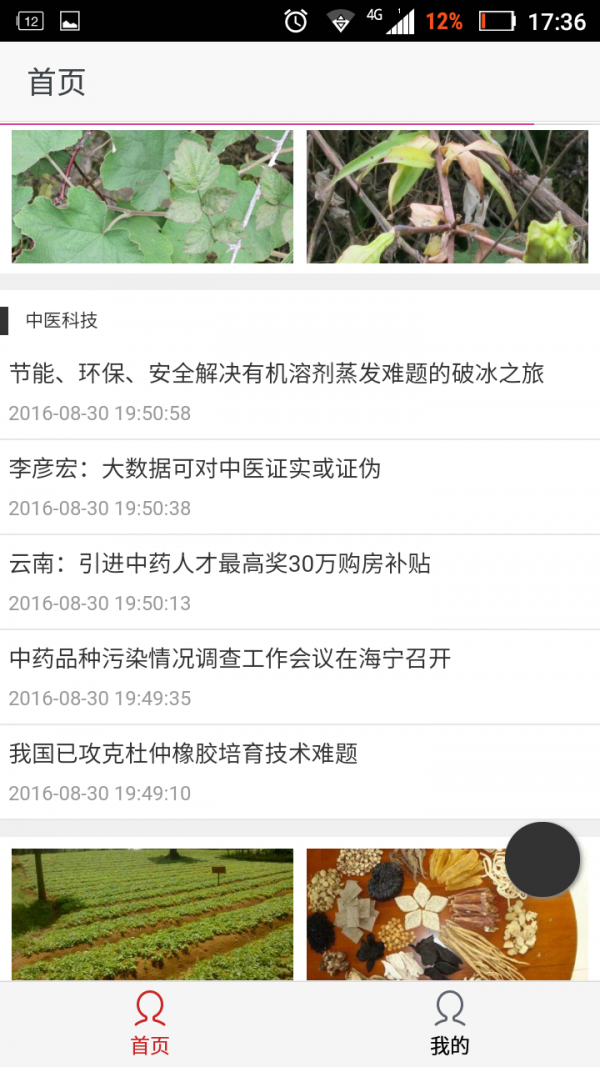 贵州中药材