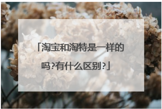 淘特和淘宝有什么区别？是一家吗？