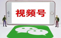微信视频号怎么发视频才有收益？在哪里申请补贴？
