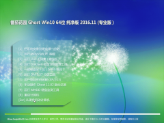 番茄花园 Ghost Win10 64位 纯净版 V2016.11