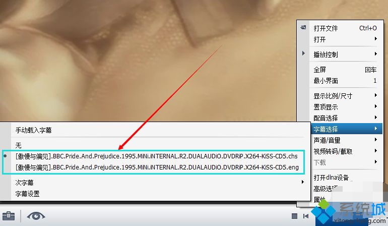 Win7系统打开srt文件的方法